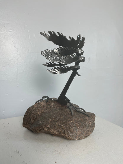 Cathy mark windswept metal pine tree on stone 