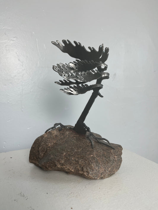 Cathy mark windswept metal pine tree on stone 