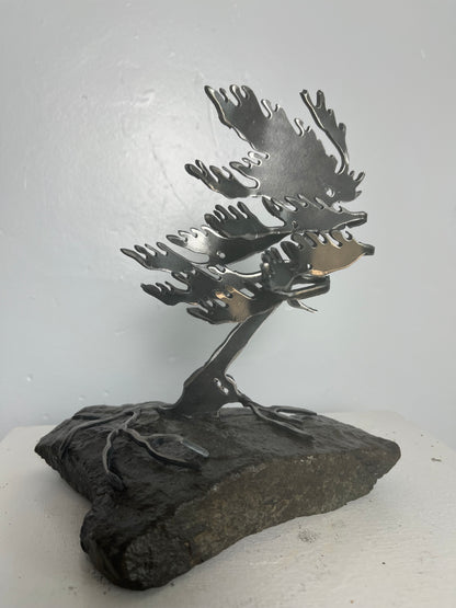 Cathy mark windswept metal tree on stone