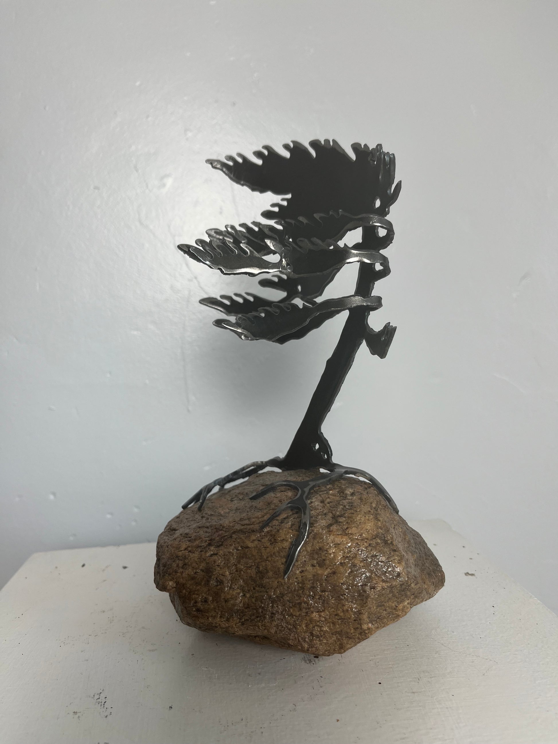 Cathy mark windswept tree on stone 