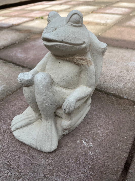 concrete frog 