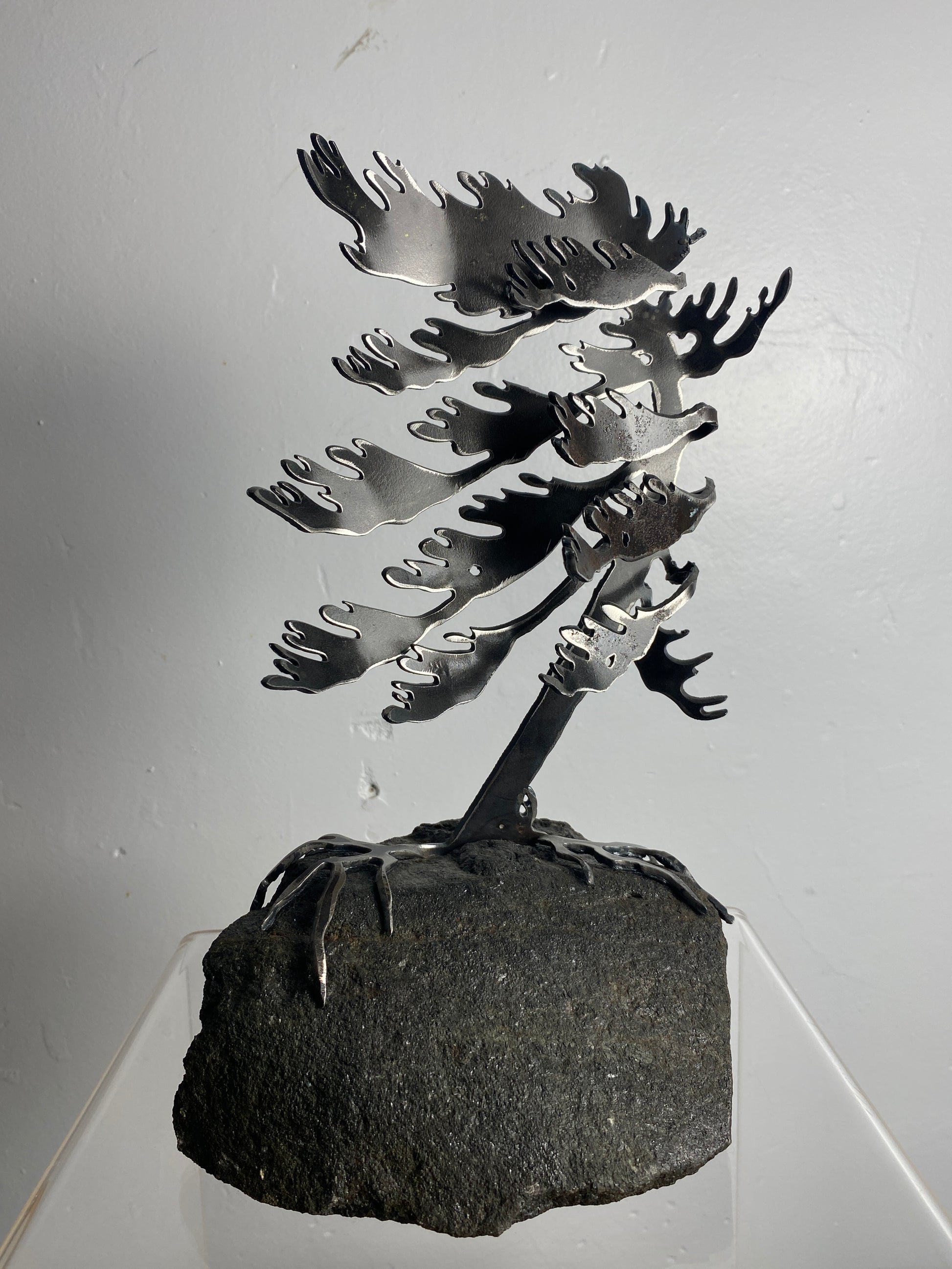Windswept Pine Steel Sculpture on Granite by Canadian Artist Cathy Mark #42