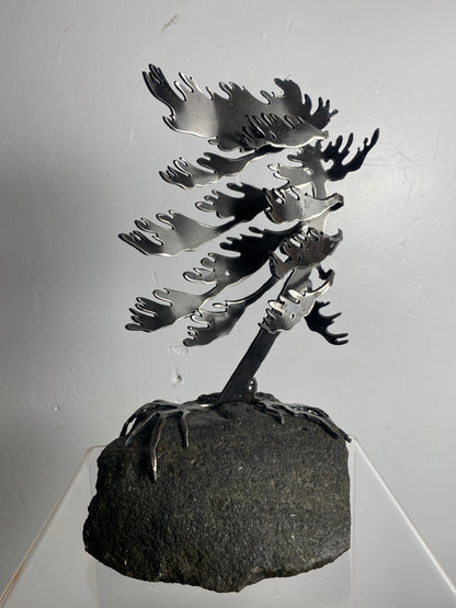 Windswept Pine Steel Sculpture on Granite by Canadian Artist Cathy Mark #42