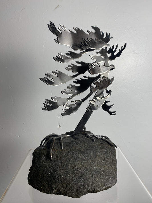 Windswept Pine Steel Sculpture on Granite by Canadian Artist Cathy Mark #42