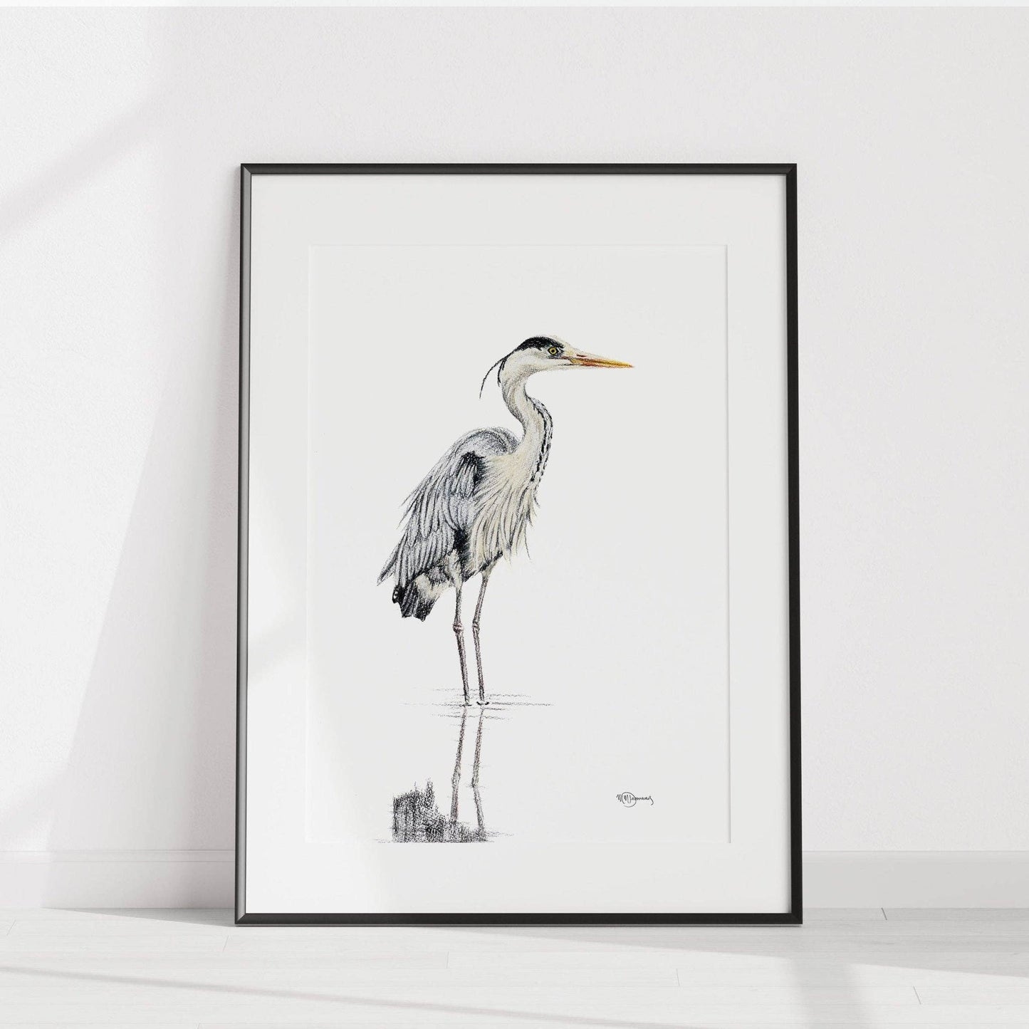 Heron  - Coloured Blue Heron in water illustration
