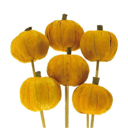 Pumpkins on a Stem