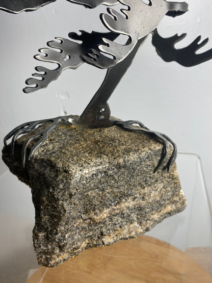 Windswept Pine Steel Sculpture on Granite by Canadian Artist Cathy Mark #31