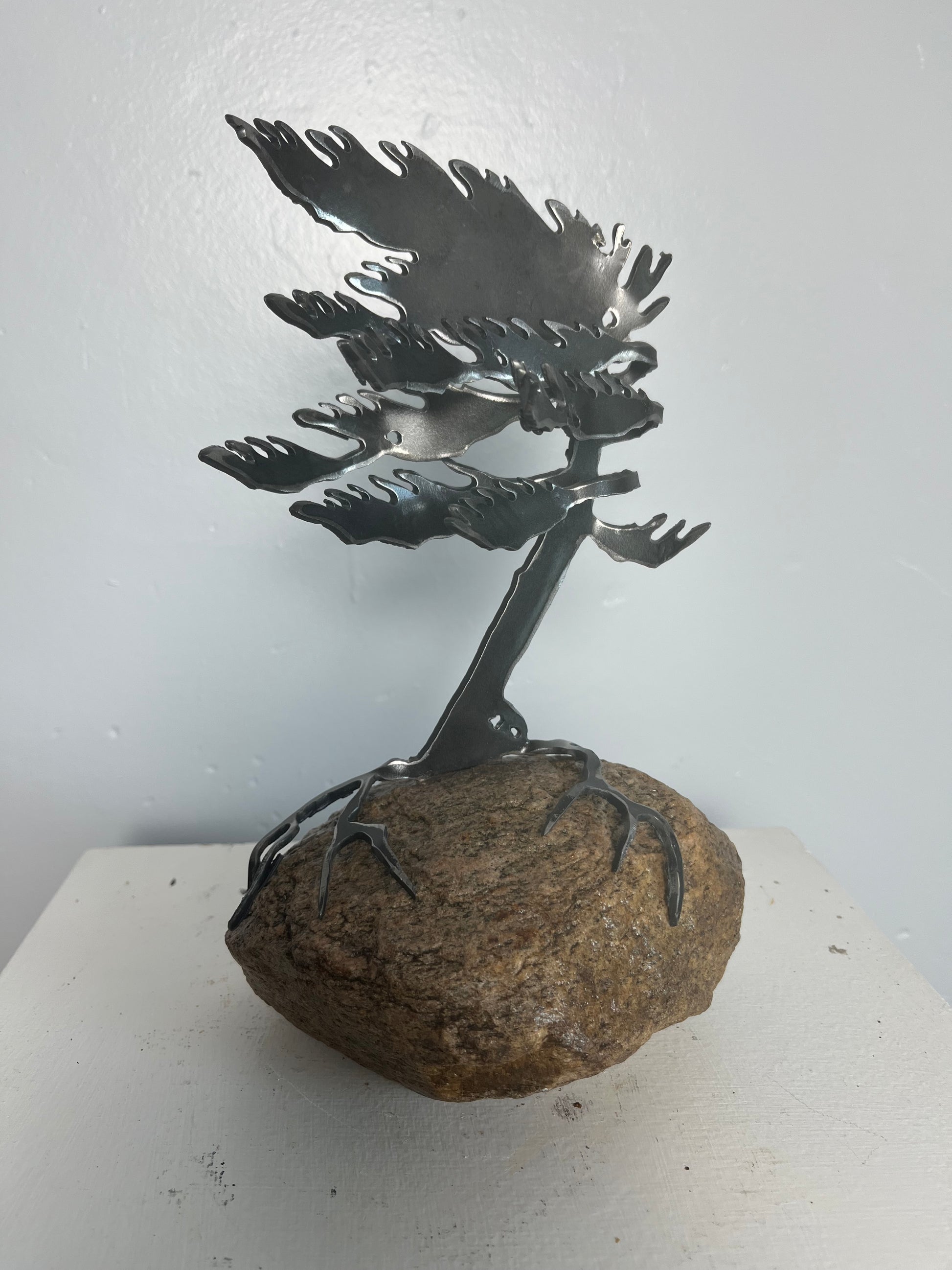 Cathy mark windswept tree on stone 