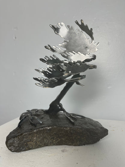 Cathy mark windswept metal tree on stone