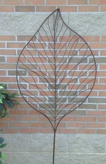 Ash leaf trellis