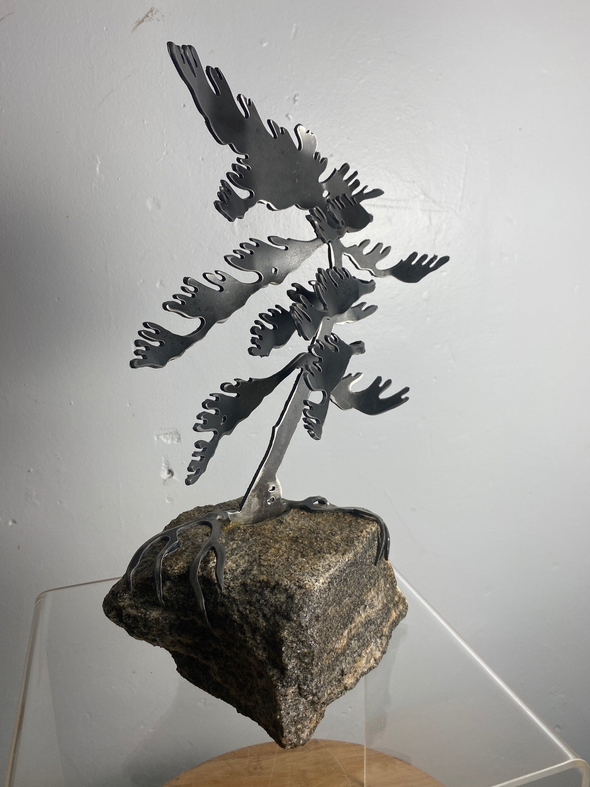Windswept Pine Steel Sculpture on Granite by Canadian Artist Cathy Mark #31