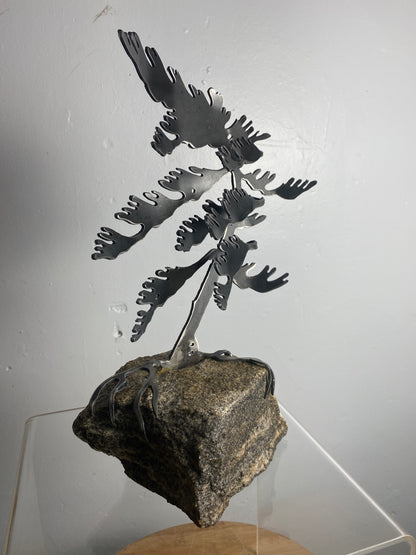 Windswept Pine Steel Sculpture on Granite by Canadian Artist Cathy Mark #31