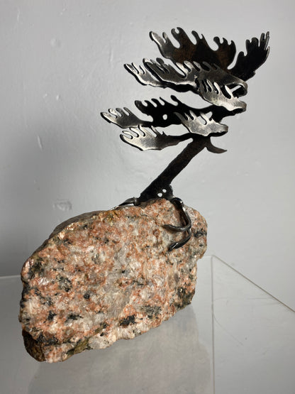 Windswept Pine Steel Sculpture on Granite by Canadian Artist Cathy Mark #48