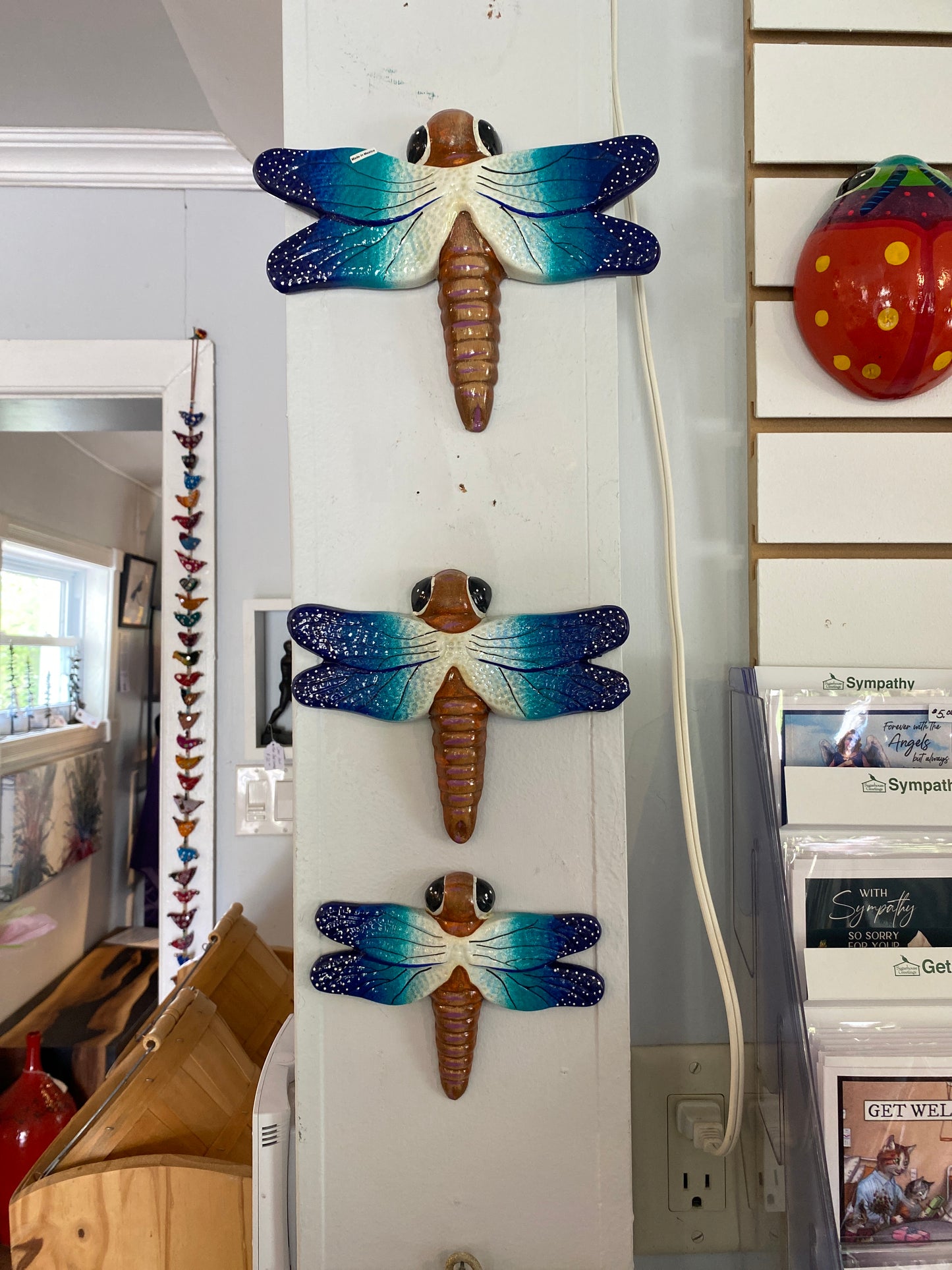 Trio of Blue Dragonflies