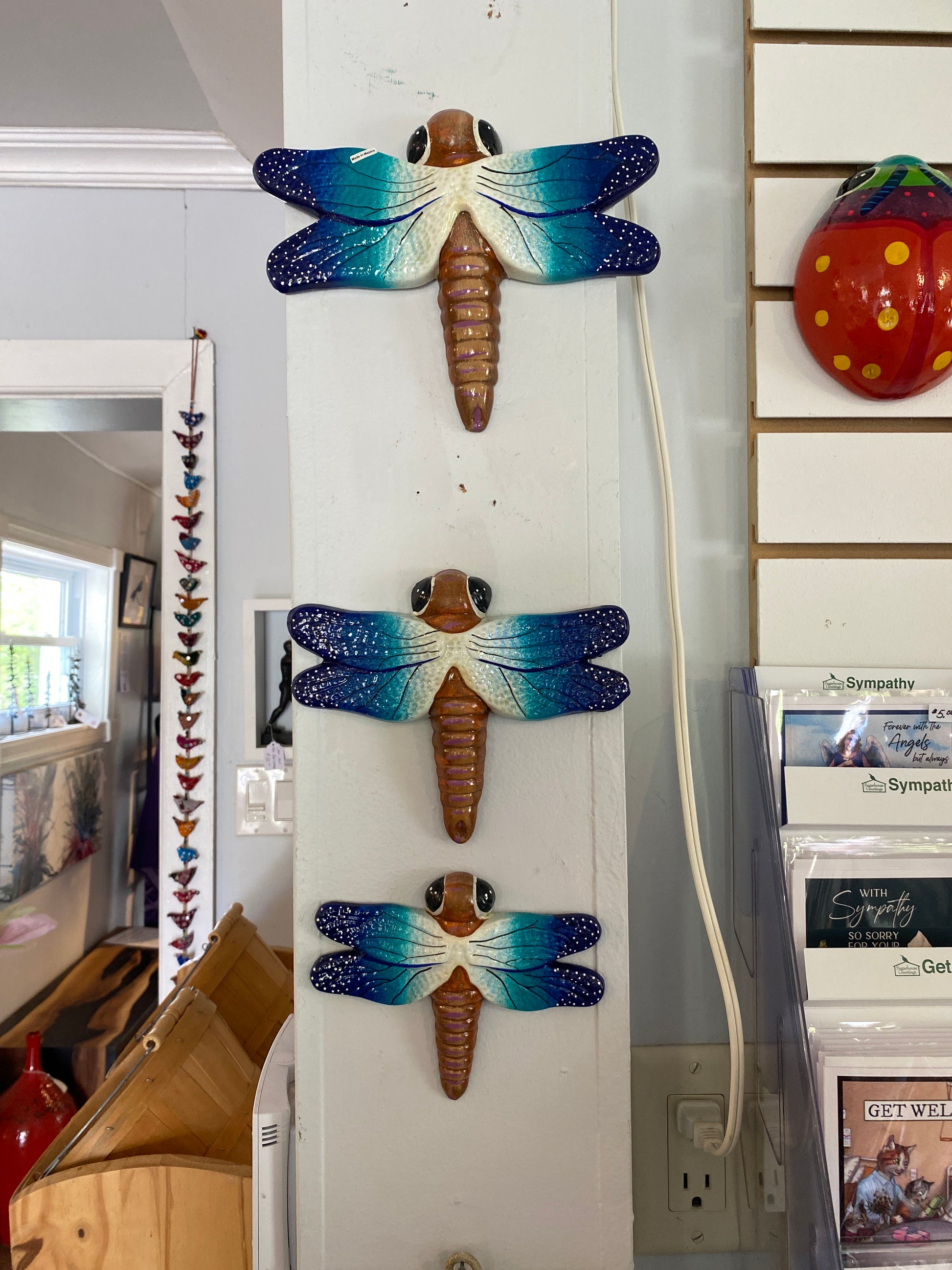 Trio of Blue Dragonflies