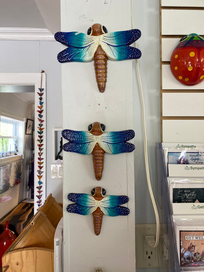 Trio of Blue Dragonflies