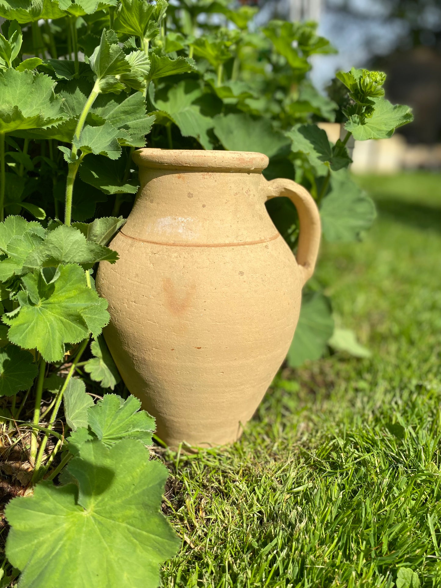 Vintage Turkish Olive Oil Pot XIX