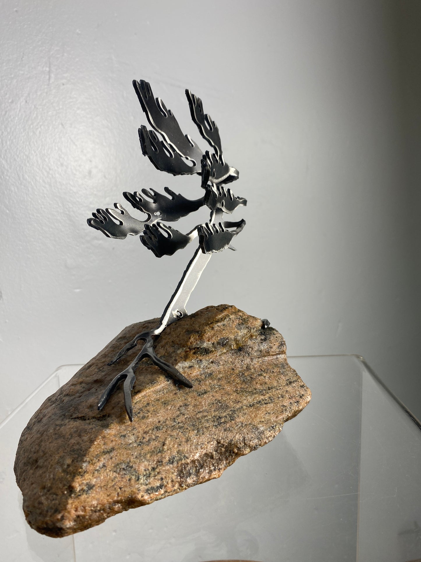 Cathy Mark – Windswept Pine on Granite