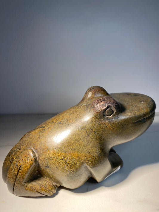 Frog - Artist Fungai Dodzo