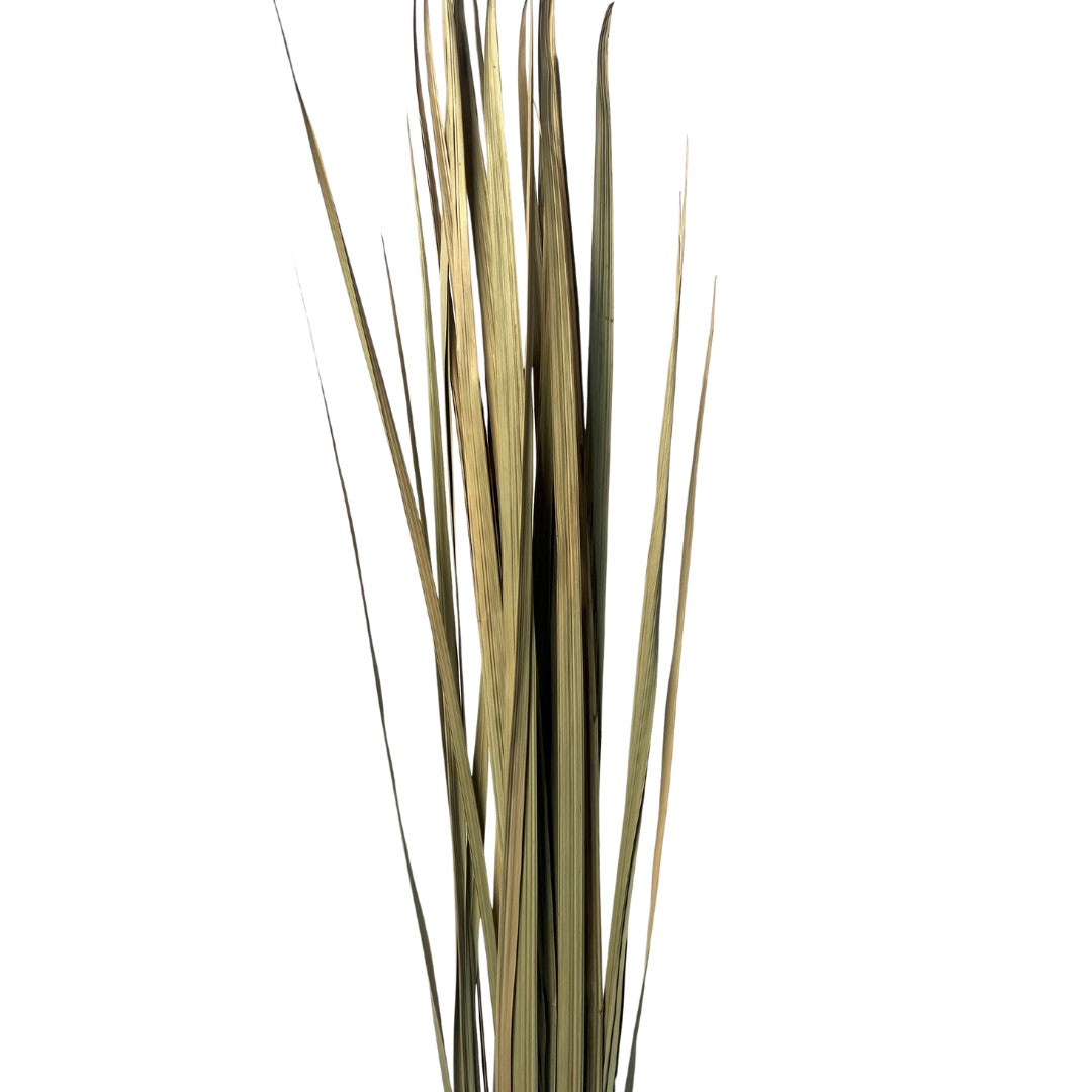 Cacho Grass Tall Natural
