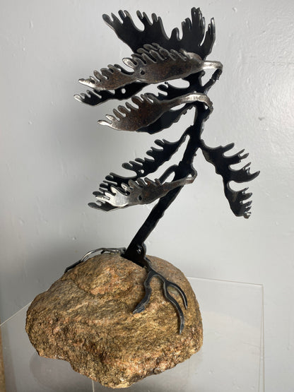 Windswept Pine Steel Sculpture on Granite by Canadian Artist Cathy Mark #47