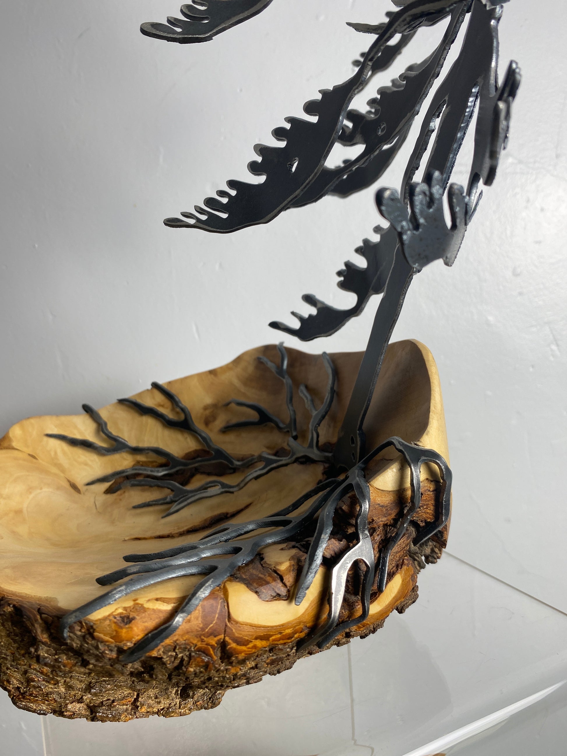 Windswept Pine Steel Sculpture on Maple Burl by Canadian Artist Cathy Mark #4