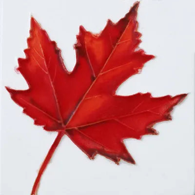 Red Maple Leaf 6 x 6”