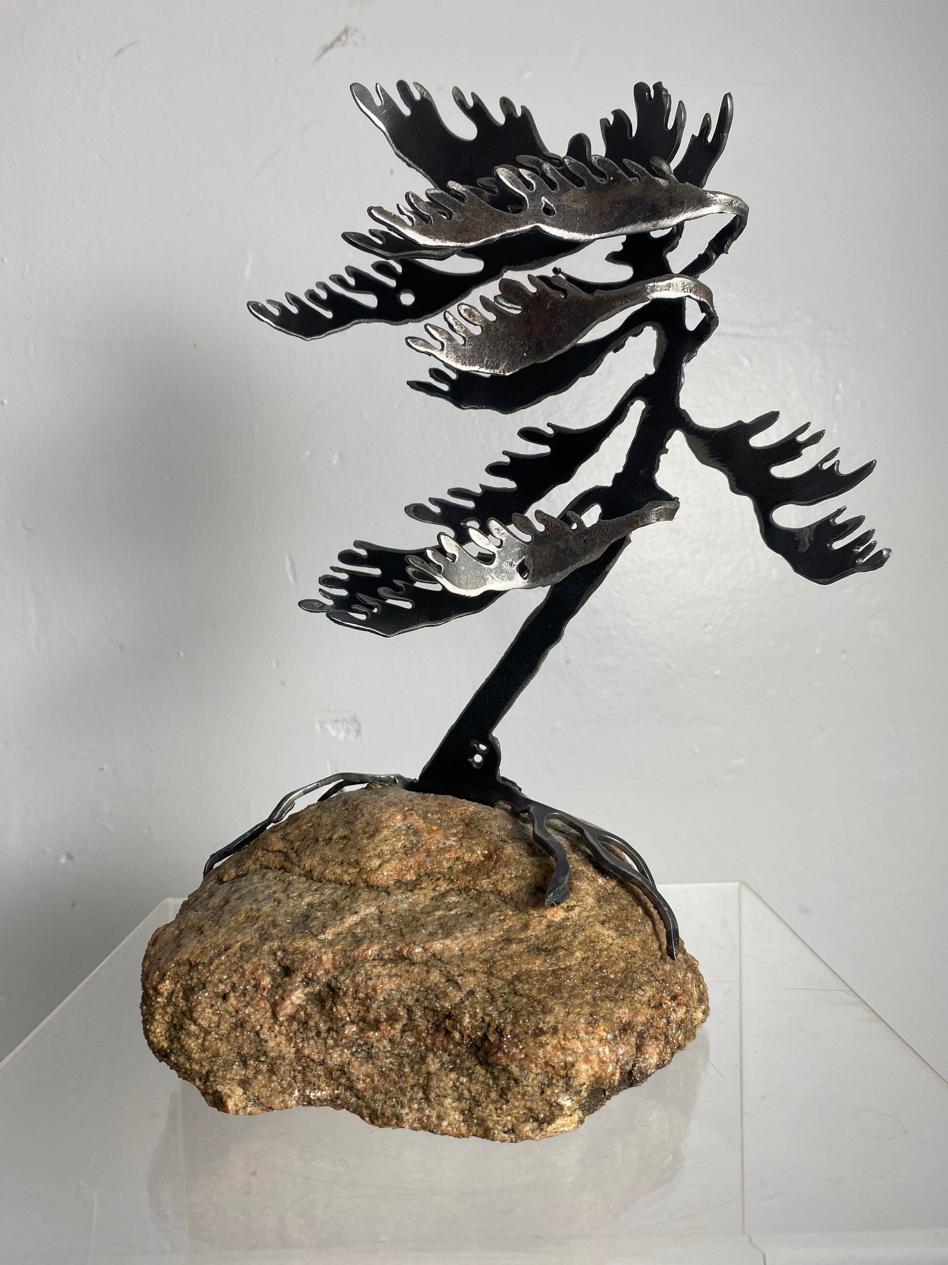 Windswept Pine Steel Sculpture on Granite by Canadian Artist Cathy Mark #47