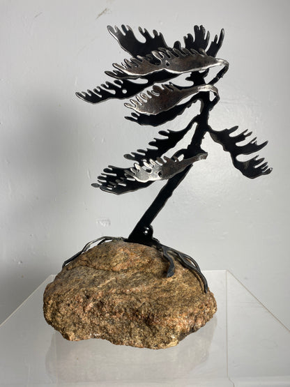 Windswept Pine Steel Sculpture on Granite by Canadian Artist Cathy Mark #47
