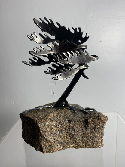 Windswept Pine Steel Sculpture on Granite by Canadian Artist Cathy Mark #41