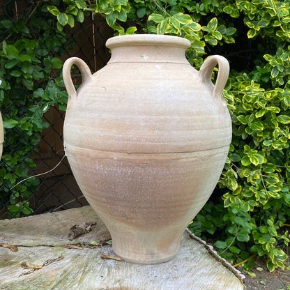 Ariane Cretan Pot