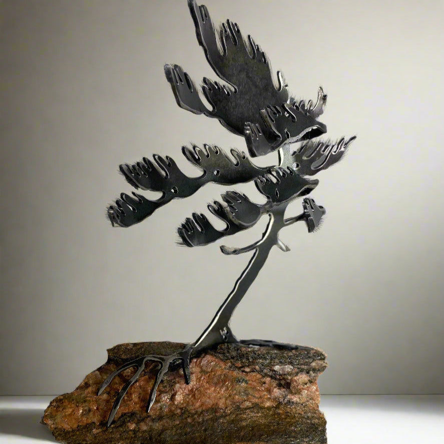 Windswept Tree by Cathy Mark