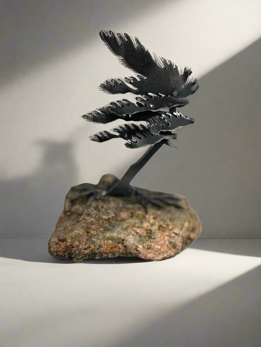 Cathy Mark Windswept Tree