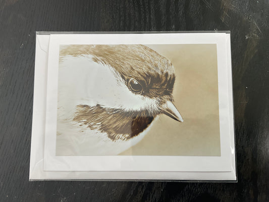 Patti Parker Photography Cards