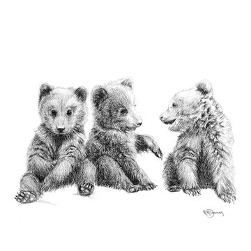 3 Brown Bear Cubs Illustration