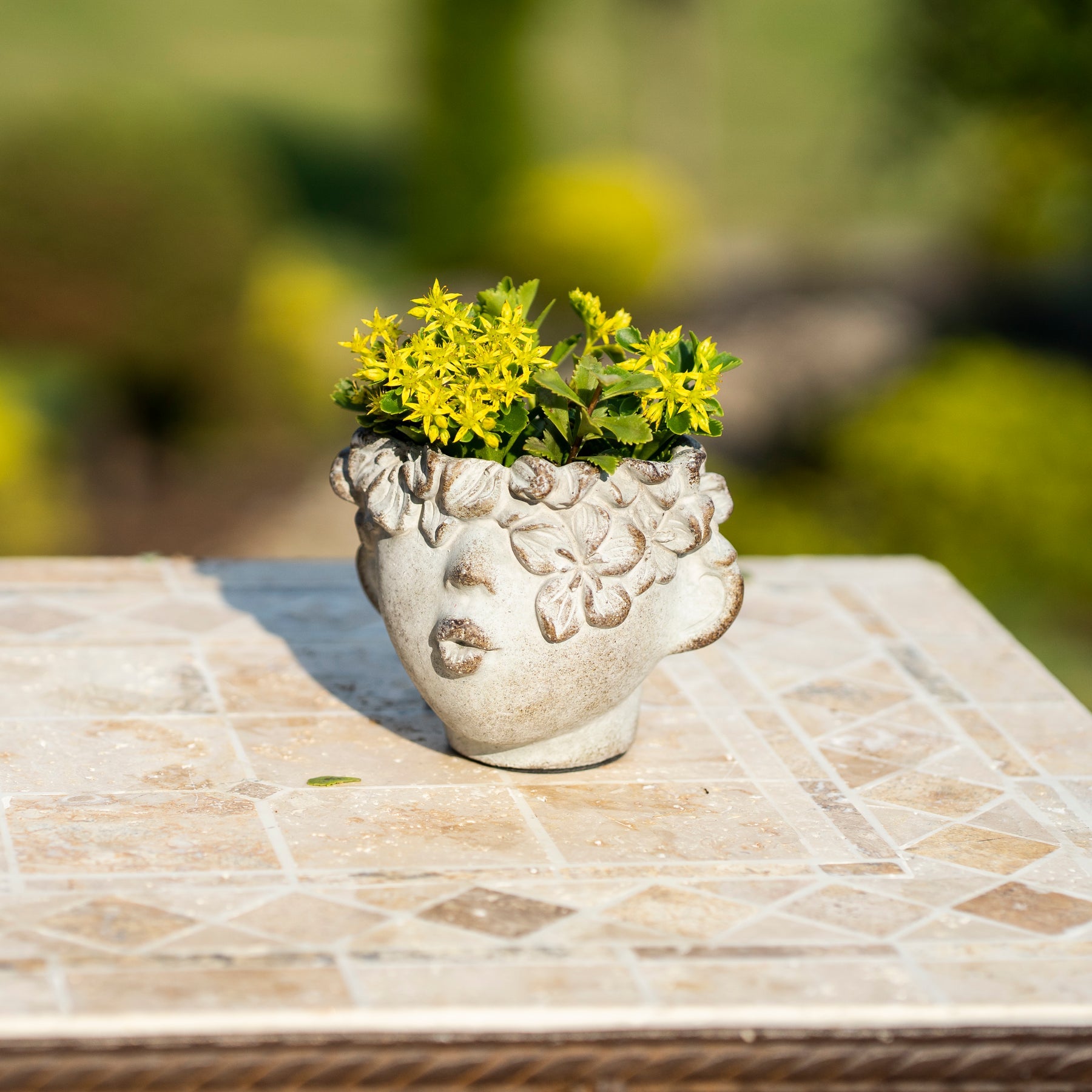 Cement planter