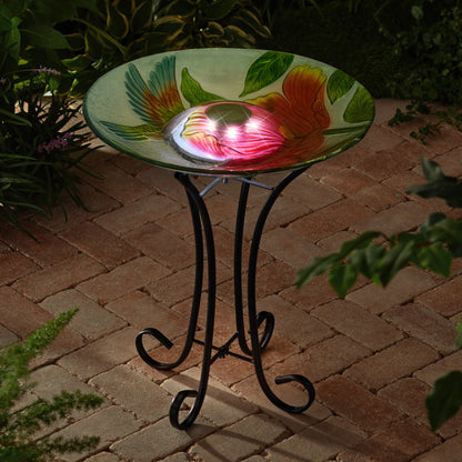 Solar bird bath