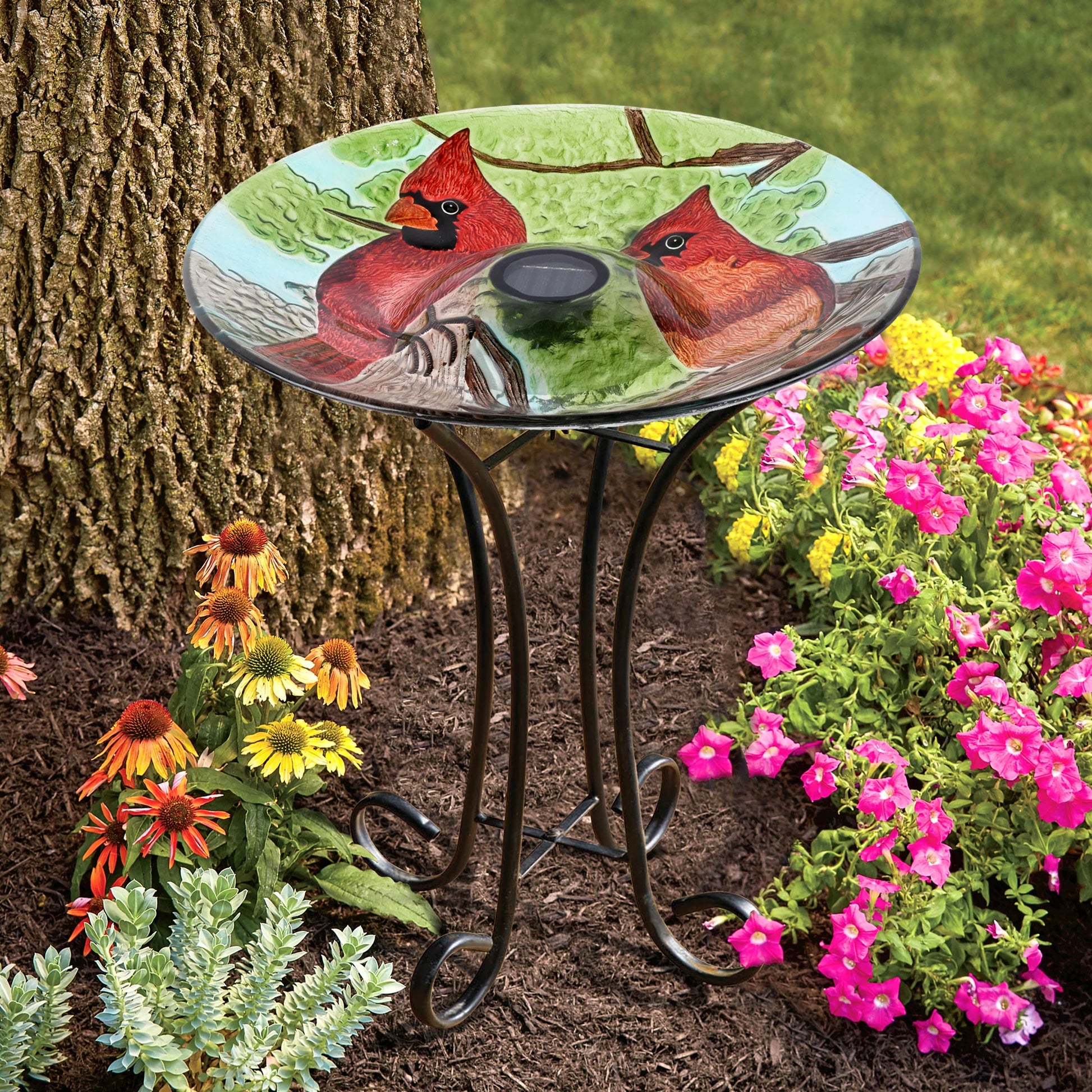 Solar bird bath