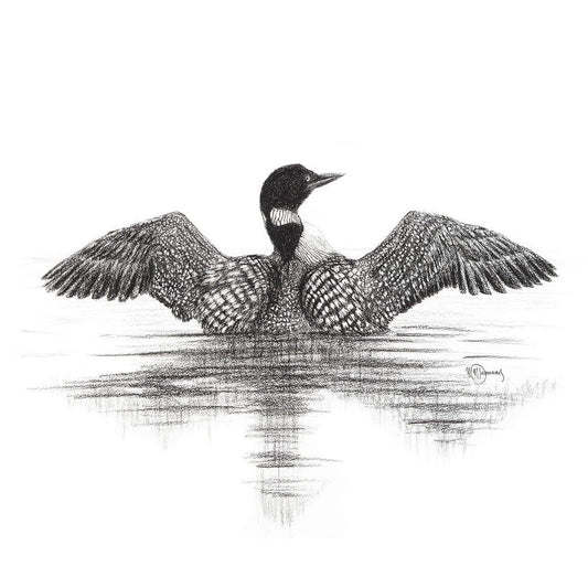 Canadian loon print