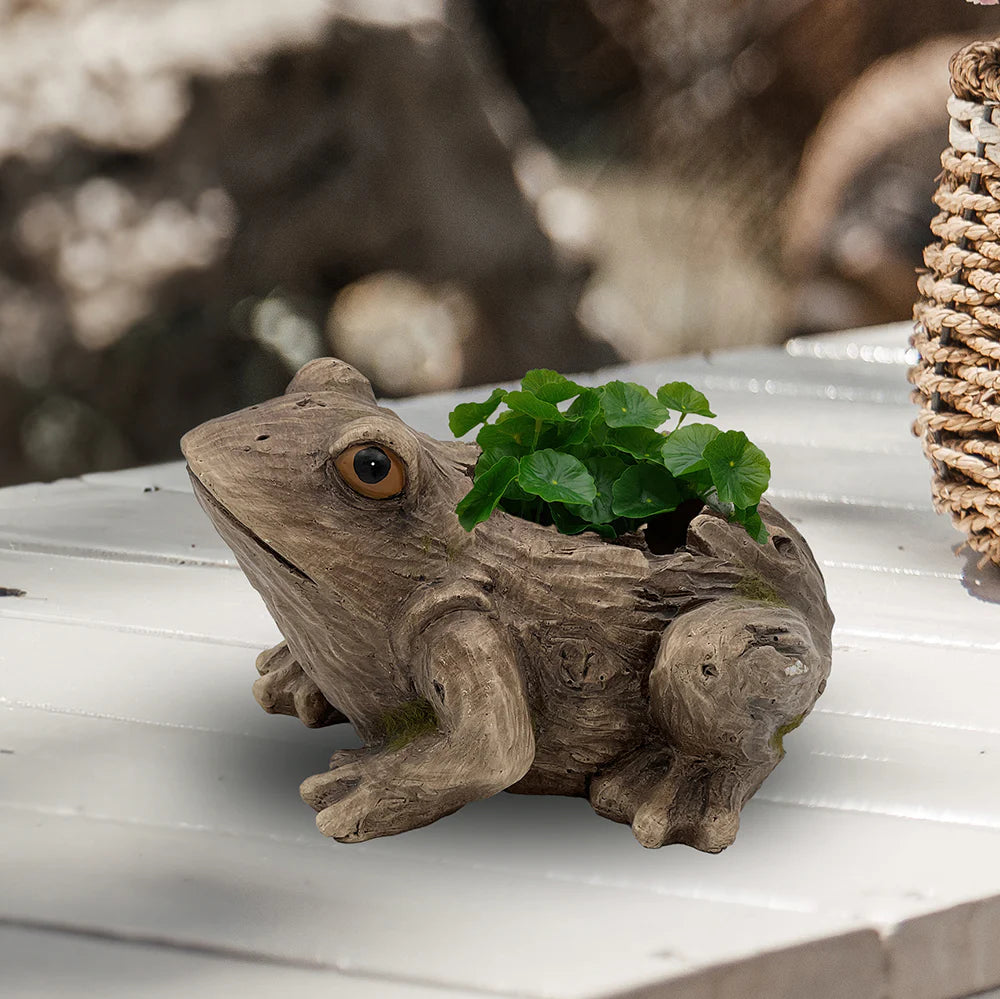 Rocky Frog Resin Planter