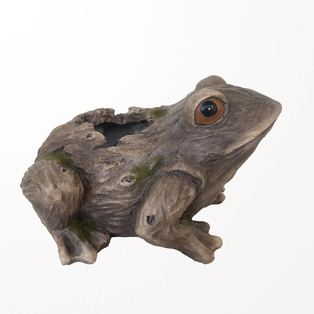 Rocky Frog Resin Planter