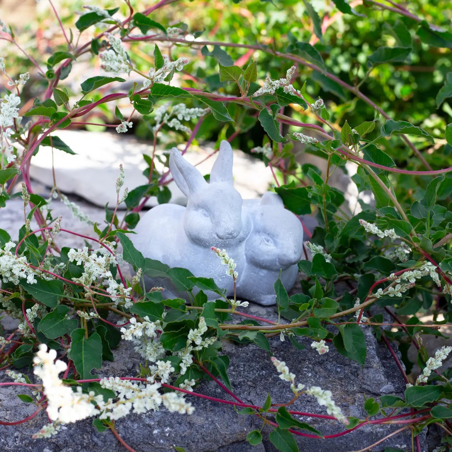 Cement rabbits