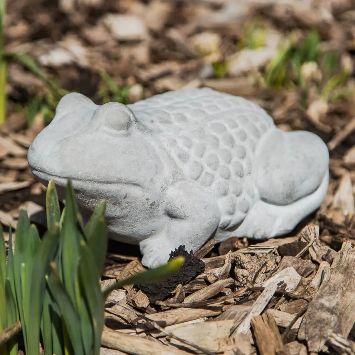 Cement frog