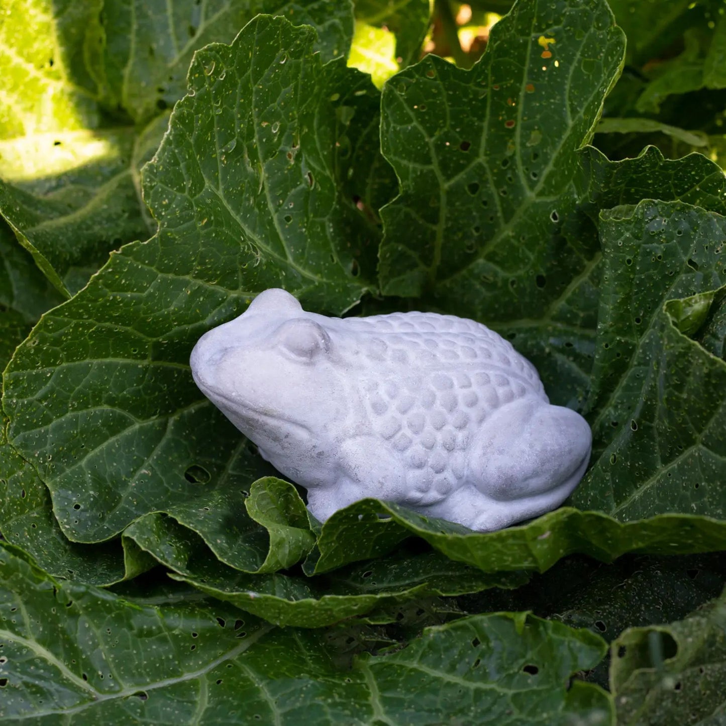 Cement frog