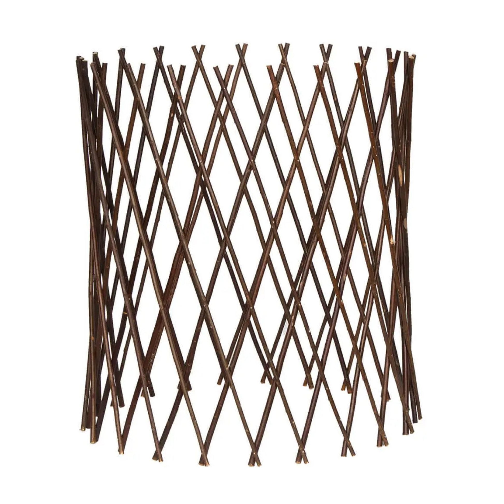 Willow plant support