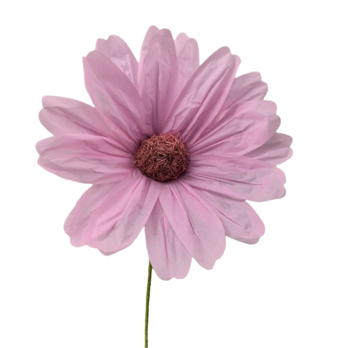 Paper Large Cosmos