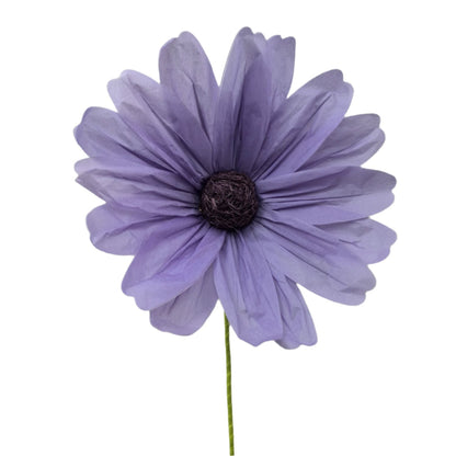 Paper Large Cosmos