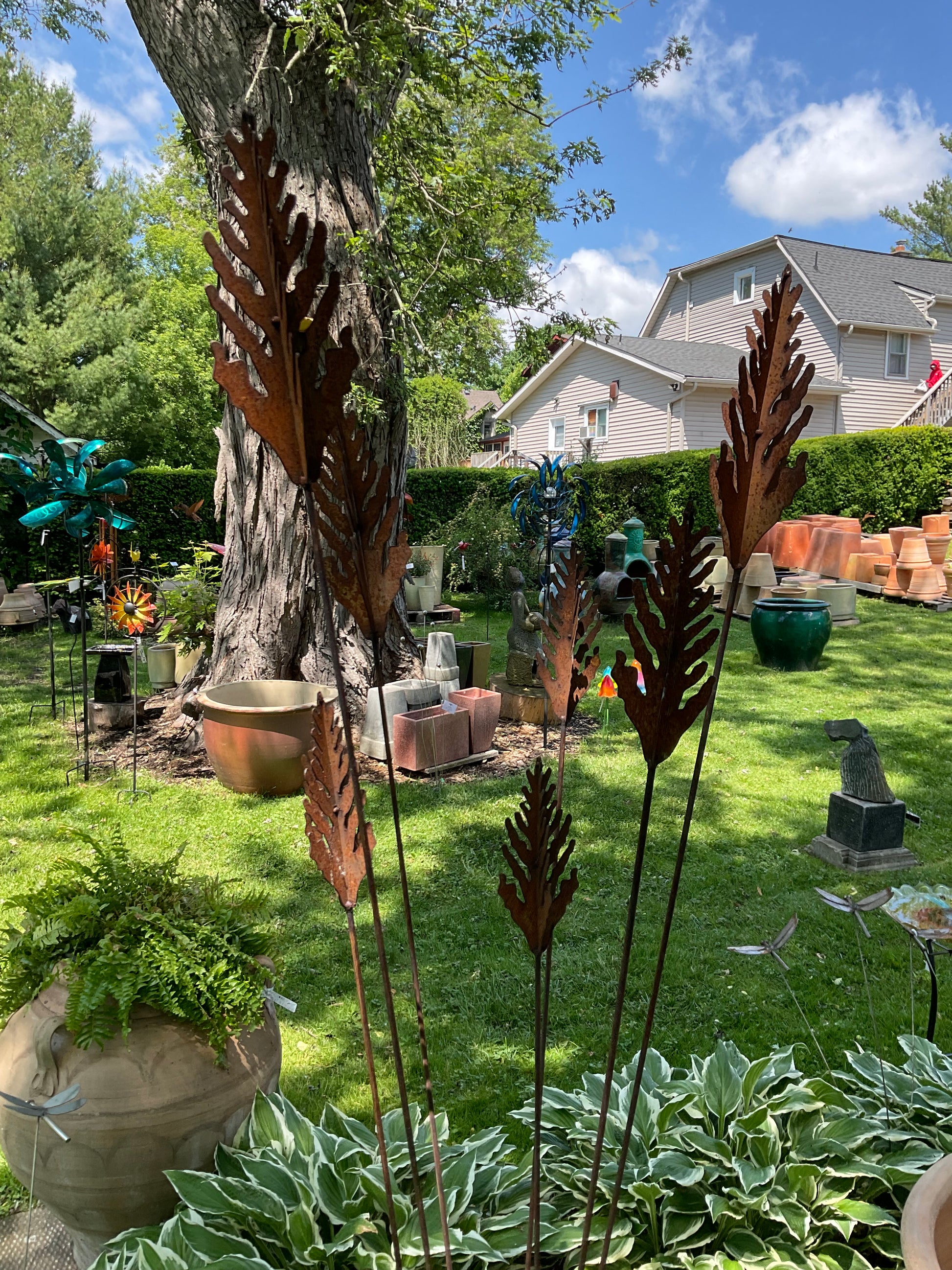 Tall metal grasses