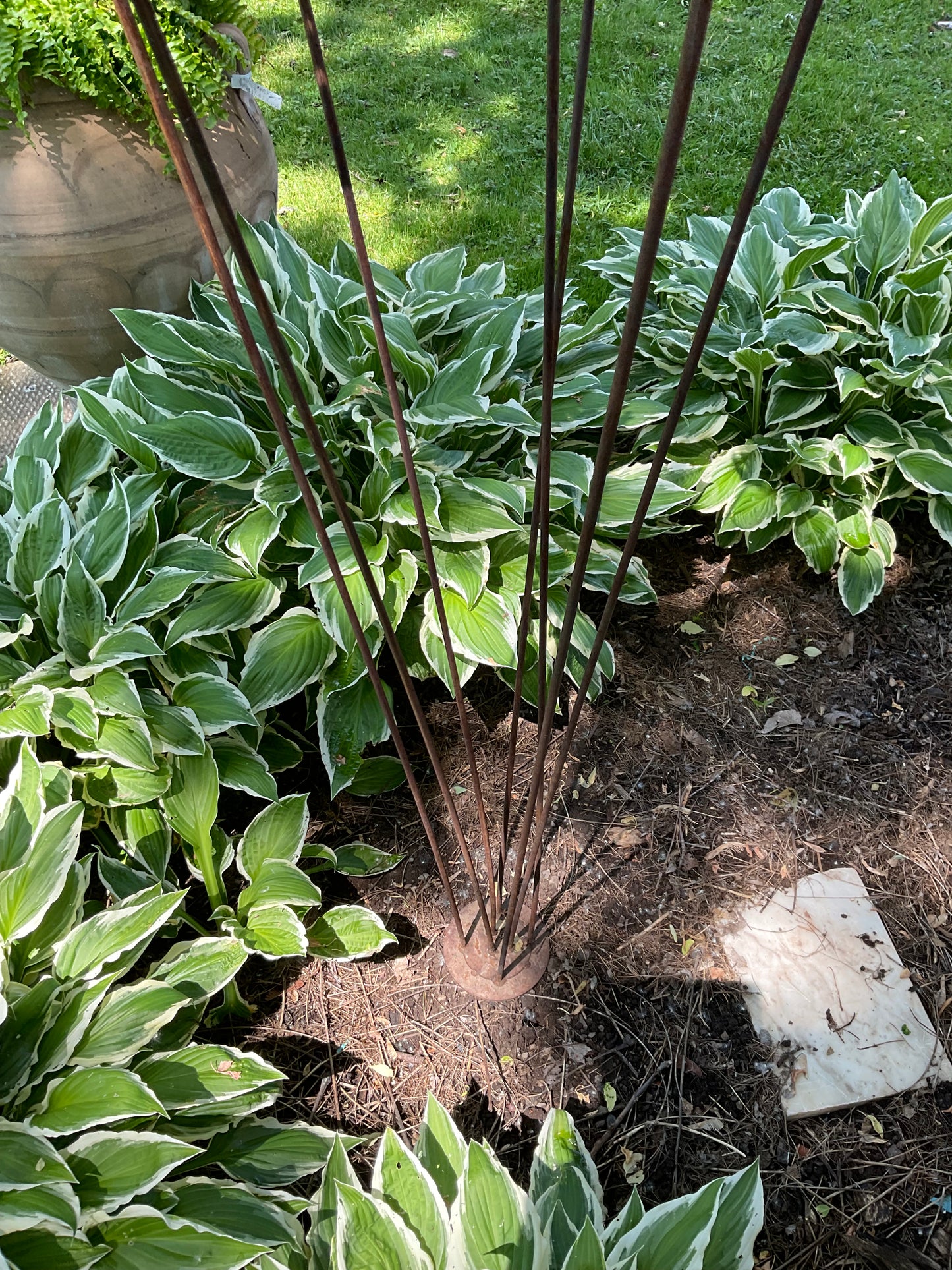 Tall metal grasses