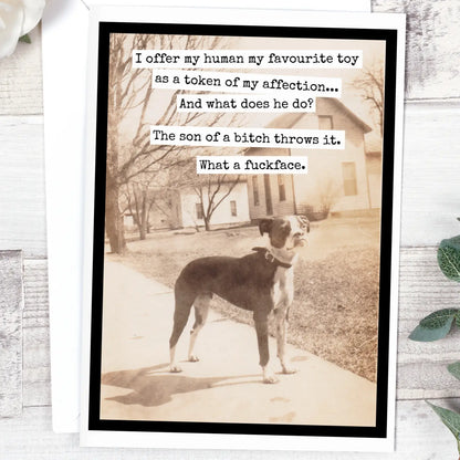 Greeting Cards